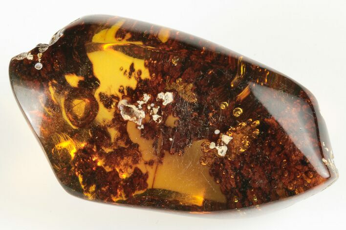 Polished Chiapas Amber ( grams) - Mexico #193267